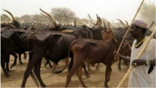 Fulani dai na fama da tashe-tashen hankali da sauran kabilu a Nigeria