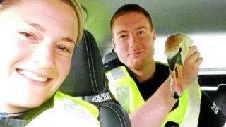Police with swan