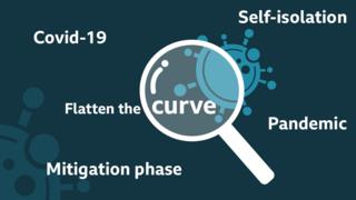 Coronavirus: What do all the terms mean?