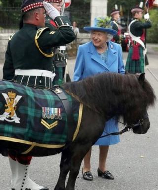 The Queen looks on as soldier salutes next to the Shetland pony