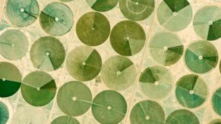 Google Earth