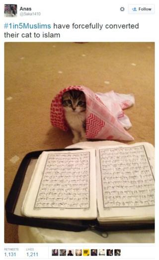 # 1in5Мусульманский пост о том, как домашняя кошка была насильственно обращена в ислам