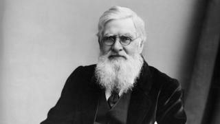 Alfred Wallace
