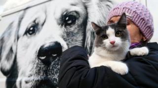 Женщина с кошкой