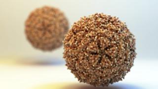 Zika virus
