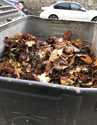 Garden waste in a communal landfill bin