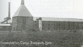 frongoch