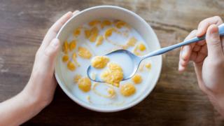 bowl of cereal