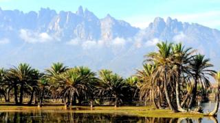 Socotra