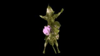 Imágenes en 3D de un ratón con cáncer