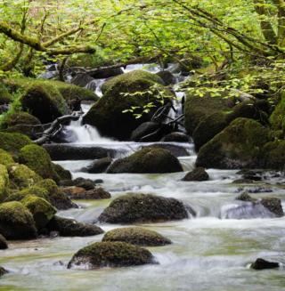 Water flowing over rocks