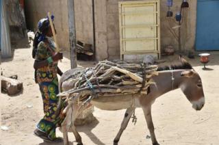 Umupfasoni ashoreye indogobwe