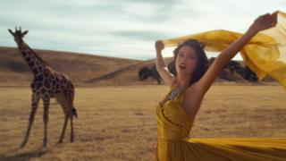 In a still from the video Taylor Swift's glamorous dress blows in the wind, while a giraffe stands nearby