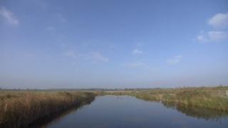 Carlton Marshes