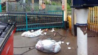Rail users posted photographs of the fallen cables on social media