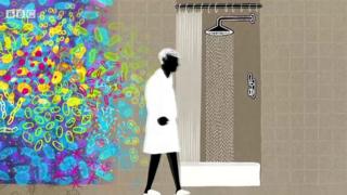 home bacteria