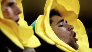 daffodil