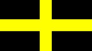 St David flag