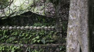 дерево в Труньяне