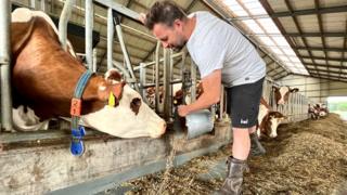 Why Dutch farmers are protesting over emissions cuts - BBC News