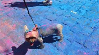 Kyiv Color Run