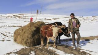 Qusar Yergi-kek