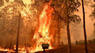 Fire in Werombi, south-west of Sydney