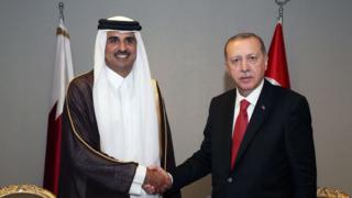 الرئيس التركي رجب طيب أردوغان يصافح أمير قطر الشيخ تميم بن حمد آل ثاني
