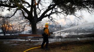 A firefighter battles the Peak fire in Simi Valley, California, 12 November