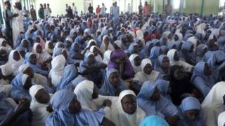 Ụmụakwụkwọ Dapchi