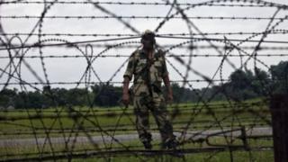 আইন ও সালিশ কেন্দ্রের তথ্য বলছে, ২০১৯ সালে সীমান্তে হত্যা উল্লেখযোগ্য হারে বেড়েছে