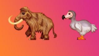 Emoji: Emojipedia has released 117 new emoji - BBC Newsround