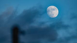The Moon