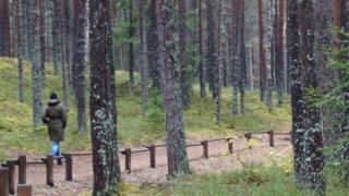 Прогулка в лесу
