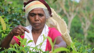 තේ