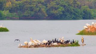 சூலூர் இடைத்தேர்தலில் வெல்லப்போவது யார்? கட்சிகள் பல பரிட்சை