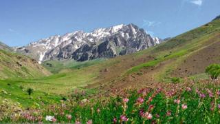 زاگرس