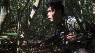 ผู้พิทักษ์ป่าไทยเสียชีวิต 15 คนต่อปี