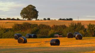 Hay bales in a field outside Oxford