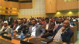 Hayyoonni Oromoo dhimma siyaas-dinagdee uumatichaarratti galma UNECA keessatti