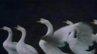 बीबीसी आर्काइव