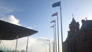 National Assembly flags