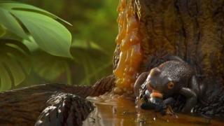 Prehistoric frog