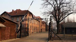 Protesters at Nazi death camp Auschwitz kill sheep then 