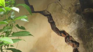 ඉරි තැලී ගිය ගොඩනැගිල්ලක්
