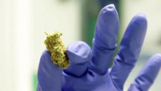 ‘Hundreds’ seek private clinics for medical cannabis