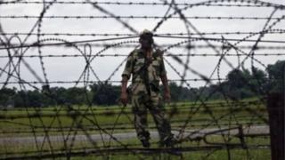 আইন ও সালিশ কেন্দ্রের তথ্য বলছে, ২০১৯ সালে সীমান্তে হত্যা উল্লেখযোগ্য হারে বেড়েছে