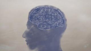 brain