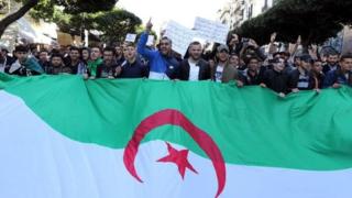 متظاهرون يحملون علم الجزائر