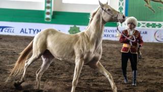 Ахалтекинец